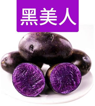 5斤新鲜洋芋黑美人 甘肃农家自种老品种土豆产地直销优质精品蔬菜（包邮），新疆、西藏需加20元运费