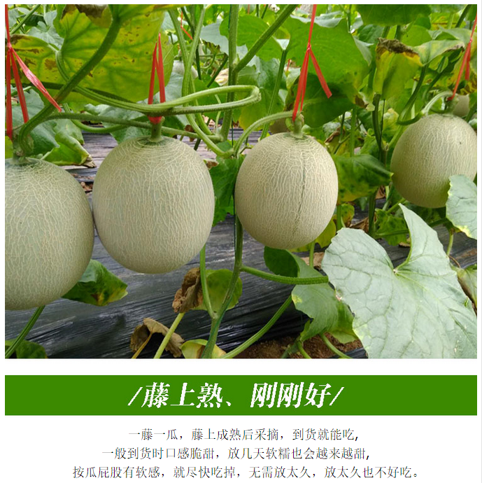 53B4377717144D2BB1E9E02325DC3B11.png 53B4377717144D2BB1E9E02325DC3B11.png