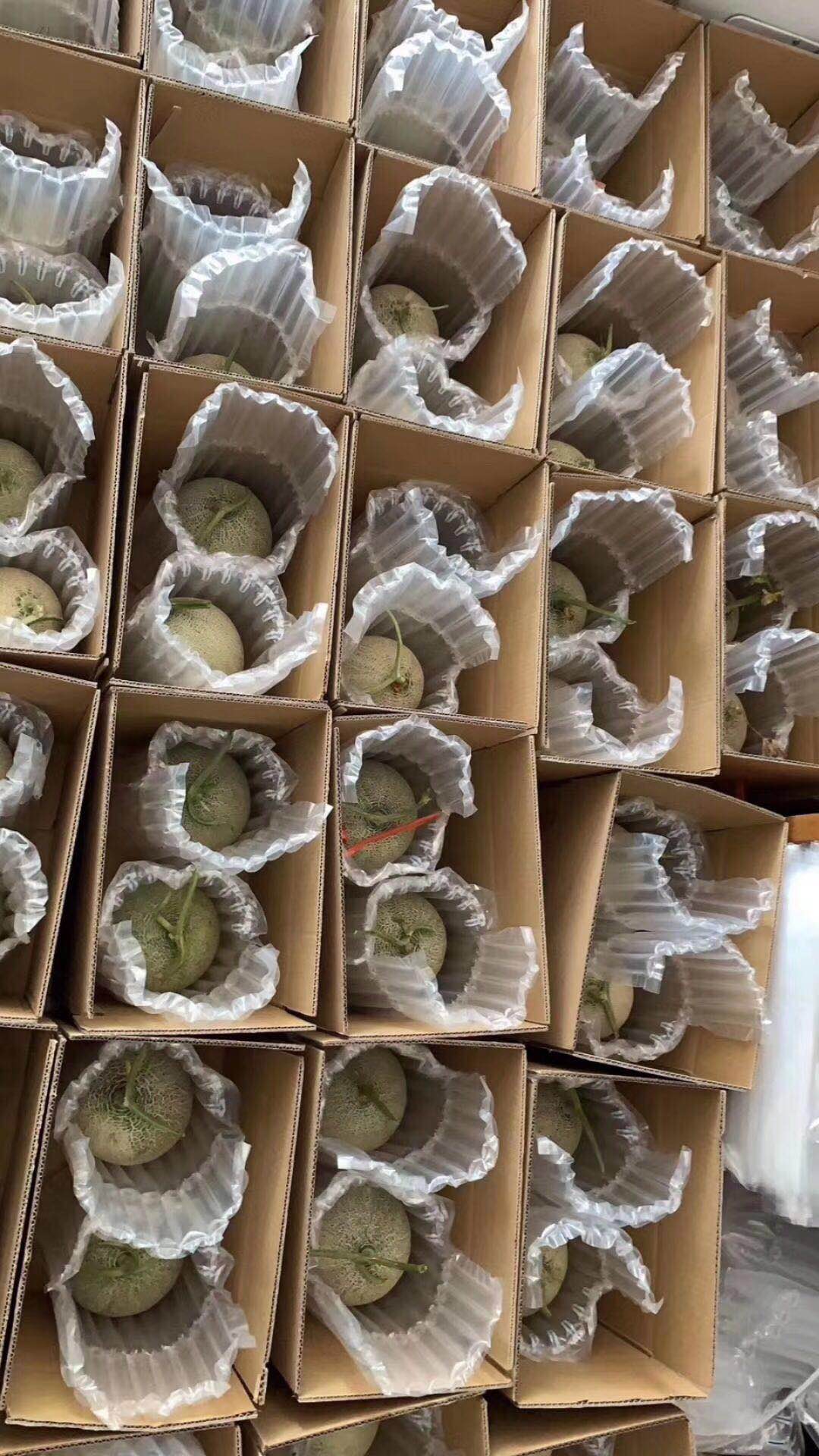 57556695D85C444A82D926FD5B71AF5E.jpeg 57556695D85C444A82D926FD5B71AF5E.jpeg